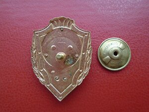 Знак Отличник Сухопутных войск.