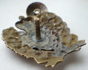 Знак 21-й Муромский полк.