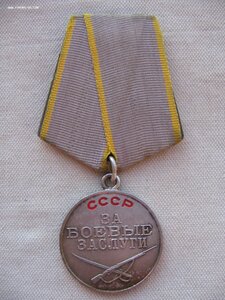 ЗБЗ со спецдоком на партизана.
