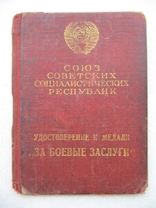 ЗБЗ со спецдоком на партизана.