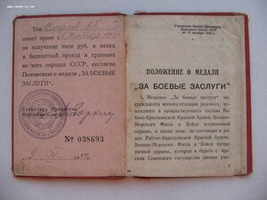 ЗБЗ со спецдоком на партизана.