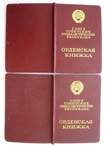 Много документов (Орденские книжки, удост. к медалям и др.)