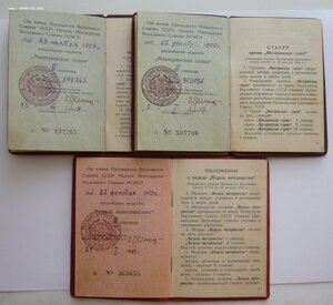 Много документов (Орденские книжки, удост. к медалям и др.)