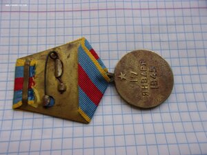 Варшава круглое сточенное ухо