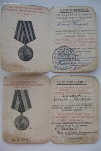 ЗПНГ и ЗДТ на партизана.
