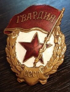 Гвардия военная МТХ (переходная)