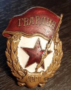 Гвардия военная МТХ (переходная)