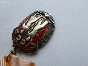 Орден Почета ветки 1521950 люкс