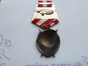 БКЗ 491296 люкс родной сбор