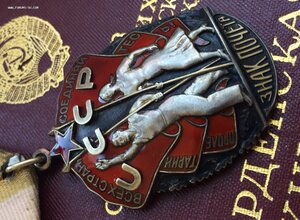 ЗНАК ПОЧЕТА на женщину с доком, люкс