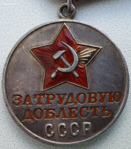 Трудовая доблесть № 61.183 с документом.