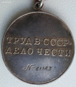 Трудовая доблесть № 61.183 с документом.