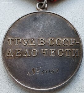 Трудовая доблесть № 61.183 с документом.