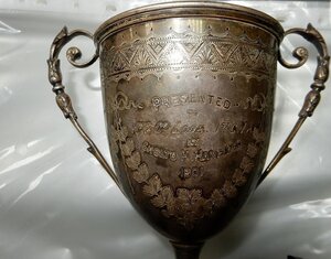 Кубок 1901 года