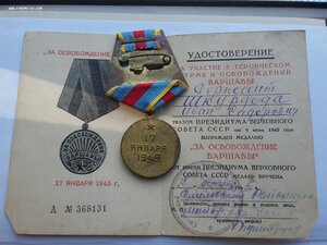 Варшава сточенное ухо хорошая с доком