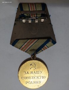 Кавказ, ухо паяное.