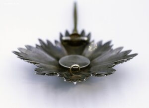 Королевство Венгрия Орден Заслуг до 1944 Шейный со Звездою