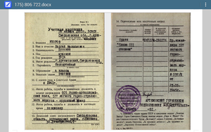 Слава 3 ст 806722 с УК горный стрелок убил 20 немцев