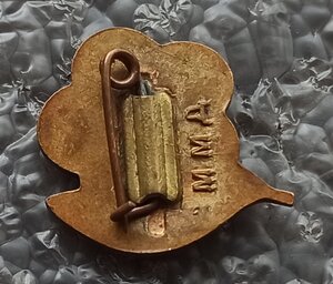 Фестиваль молодёжи ММД