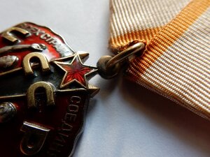 Орден Знак Почета "Веточка"