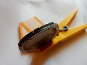 Орден Знак Почета "Веточка"