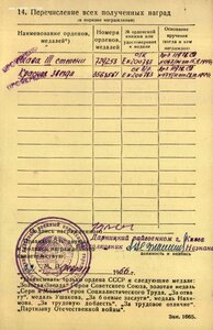 Слава 3ст. № 729.253 ННГ на штрафника. Мадонская операция