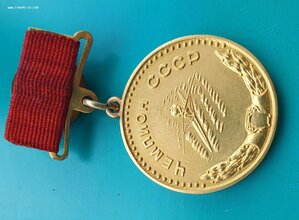 Медаль Чемпион СССР Гребля