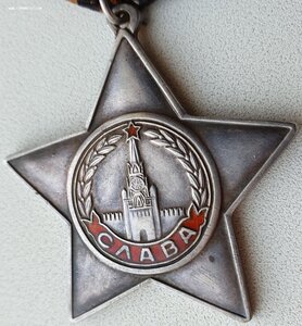 Редкая Слава 3ст. № 348.067 в сохране (311-я СД)