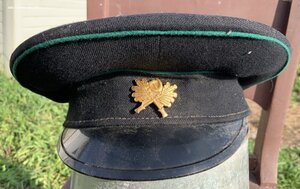 фуражка МПС 79, или лесника?