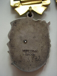 Материнская Слава 1-й степени 2 штуки