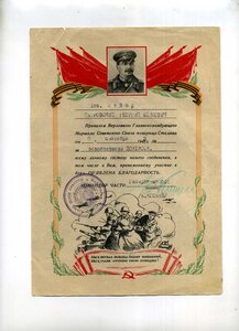 Благодарность ВГК "За освобождение Донбасса" .