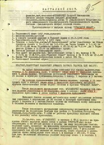 БКЗ №229*** Летчик