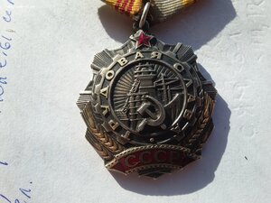 Трудовая слава 3 ст 243023
