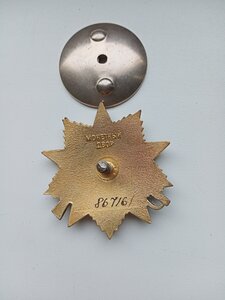 Орден (Отечественной войны)  1ст.№867161