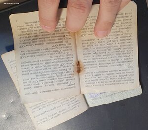 Комплект на разведчика, в том числе за р. Ингул