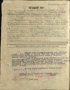 КЗ № 3.526.870 ННГ 9-я пластунская стрелковая дивизия