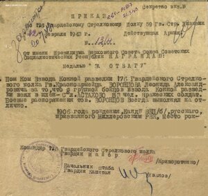 Отвага № 281.201 на конного разведчика. Операция Скачок