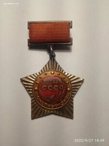 Почётный Знак ДОСАФ . На подвесе. "серебро"