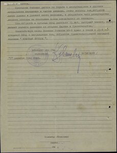 Руководитель опер. чек. группы Бечойского перевала. Кавказ.