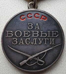Руководитель опер. чек. группы Бечойского перевала. Кавказ.