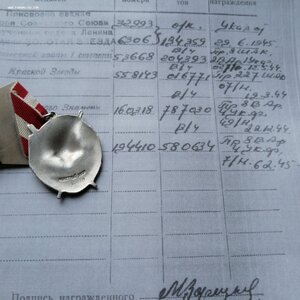 БКЗ на ГСС , лётчик.