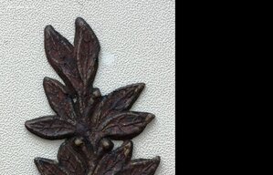 лавровая ветвь на ГК