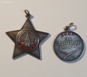 Слава БЗ дубликат За спасение знамени