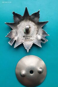 Орден Отечественной войны 2 ст.