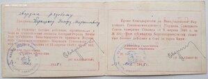 Дунайский бант + Япония + ЗПГ + пять благодарностей