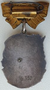 Мать-героиня 34787 и Матслава 1ст. № 6550 на одну. Все доки.