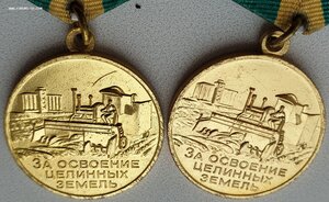 Две шикарные Целины на супругов. Номера доков - подряд.