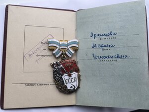 Материнская Слава 1 степени 166096 с Документом