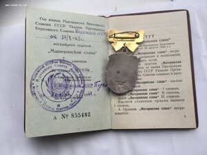 Материнская Слава 1 степени 166096 с Документом