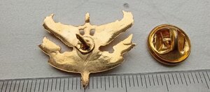 Знак ; Ніхто крім нас , десантно - штурмові війська України